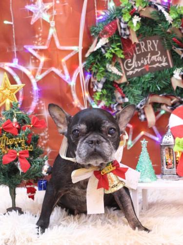 20231216さつきちゃん